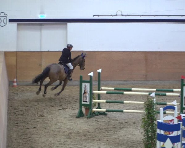 Reitturnier Elmshorn 2020