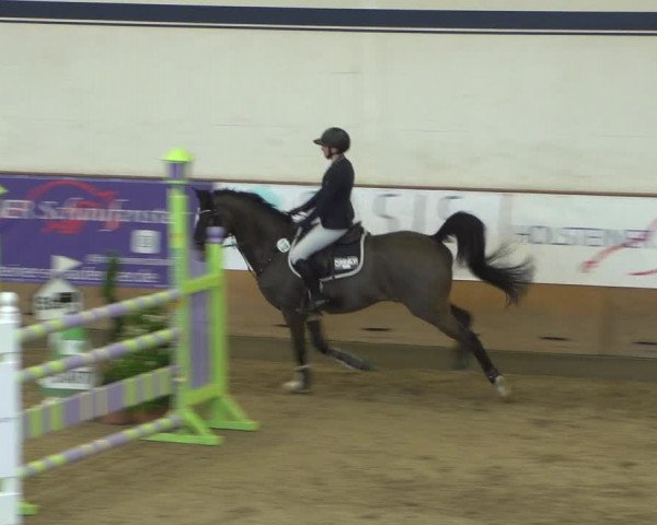 Reitturnier Elmshorn 2020