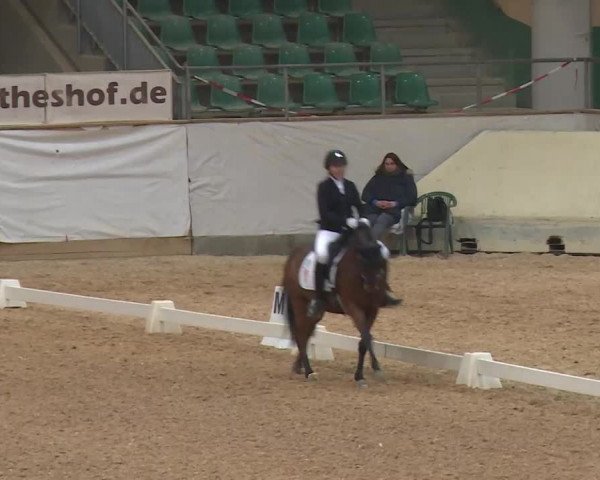 Reitturnier Kreuth/Opf. 2020