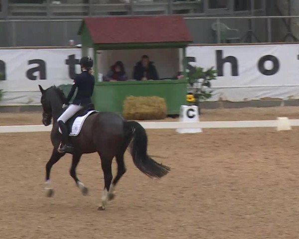 Reitturnier Kreuth/Opf. 2020