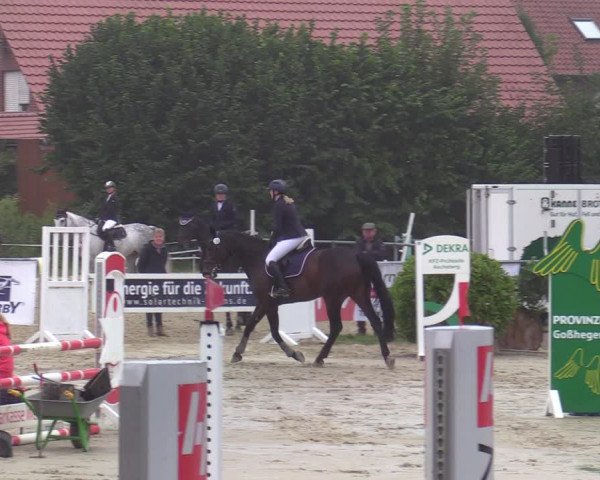 Reitturnier Ascheberg 2021
