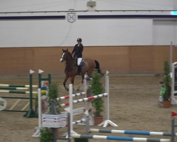 Reitturnier Elmshorn 2020