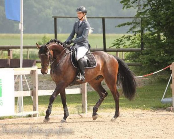 jumper Samurai 500 (unknown, 2011, from Sanjoy)