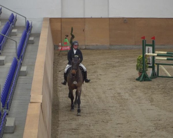 Reitturnier Elmshorn 2020