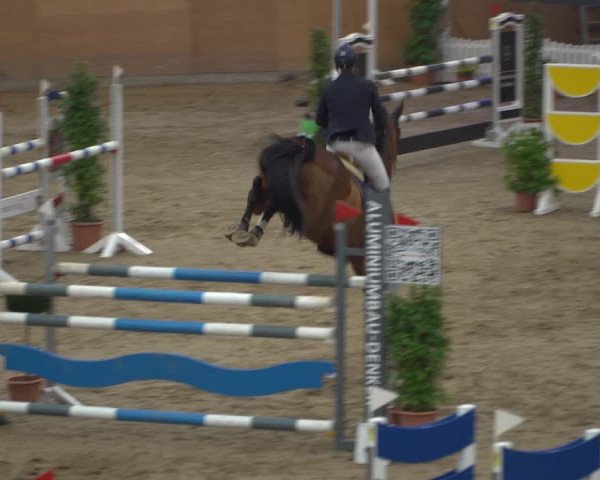 Reitturnier Elmshorn 2020