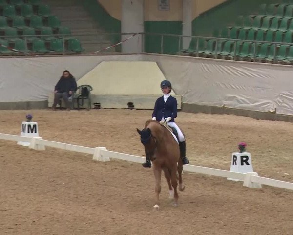 Reitturnier Kreuth/Opf. 2020