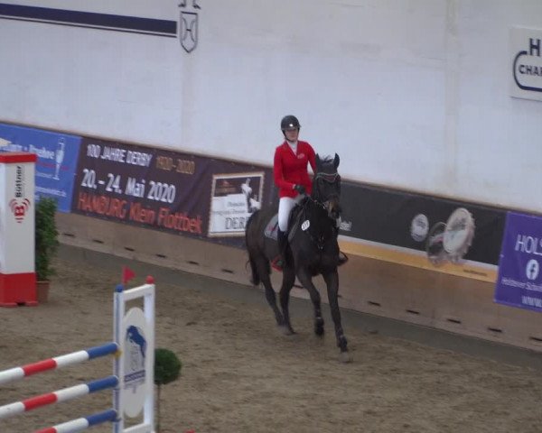 Reitturnier Elmshorn 2020
