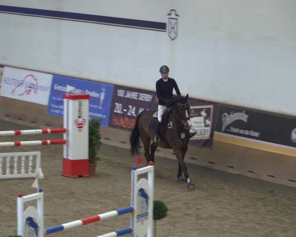 Reitturnier Elmshorn 2020