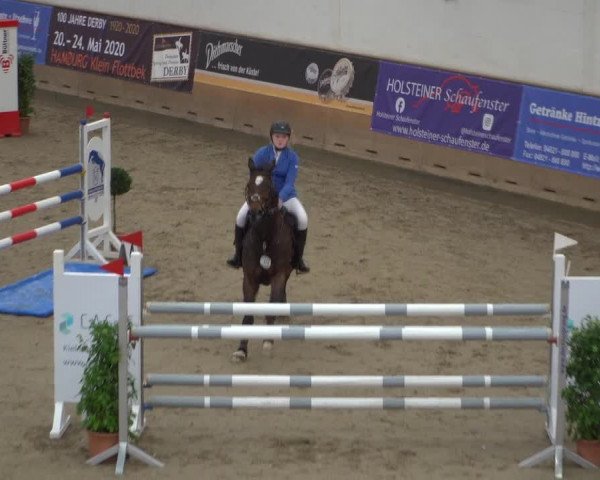 Reitturnier Elmshorn 2020
