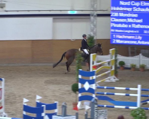 Reitturnier Elmshorn 2020