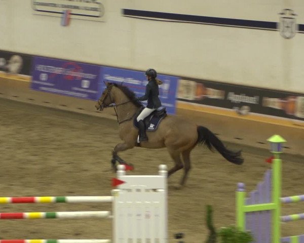 Reitturnier Elmshorn 2020