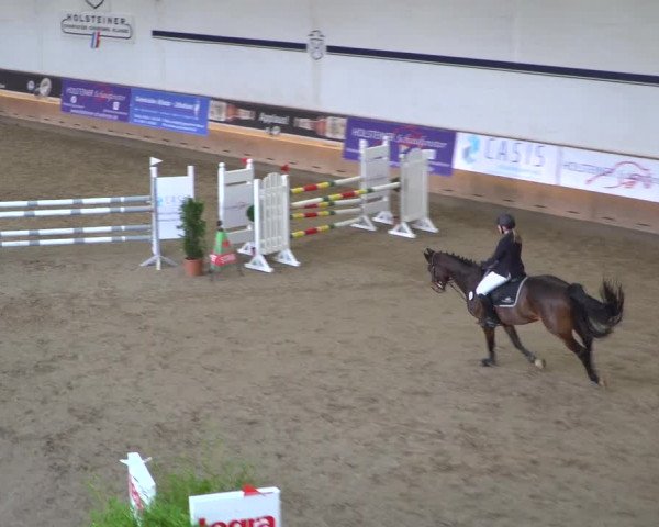 Reitturnier Elmshorn 2020