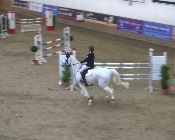 Reitturnier Elmshorn 2020