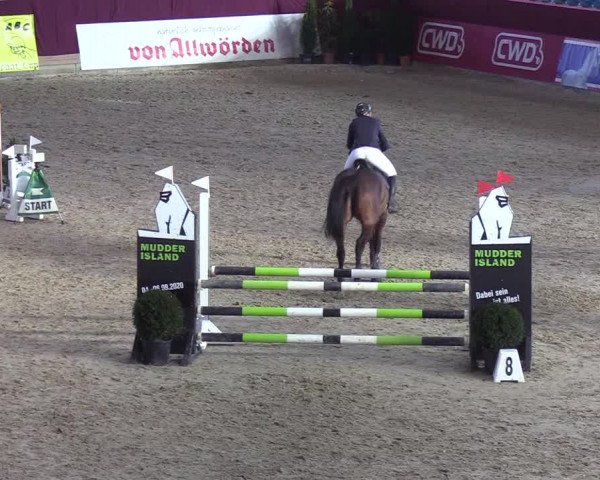 Reitturnier Neustadt/Dosse - Lindenau-Halle 2020