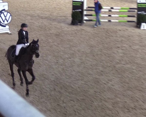 Reitturnier Neustadt/Dosse - Lindenau-Halle 2020