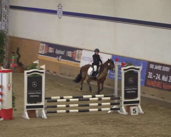 Reitturnier Elmshorn 2020
