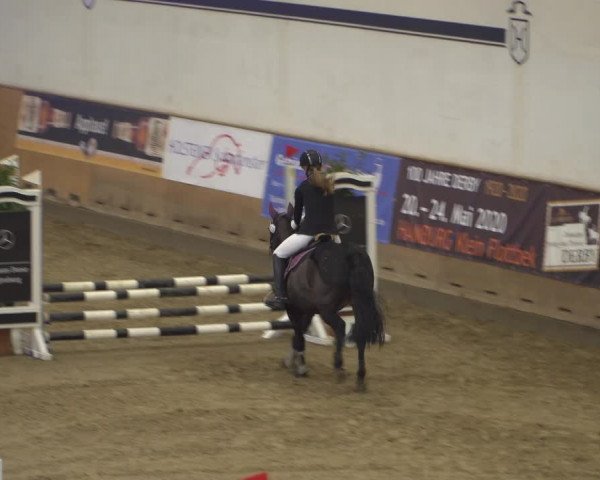 Reitturnier Elmshorn 2020