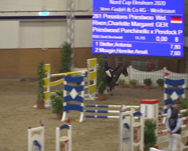 Reitturnier Elmshorn 2020