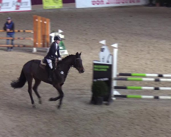 Reitturnier Neustadt/Dosse - Lindenau-Halle 2020