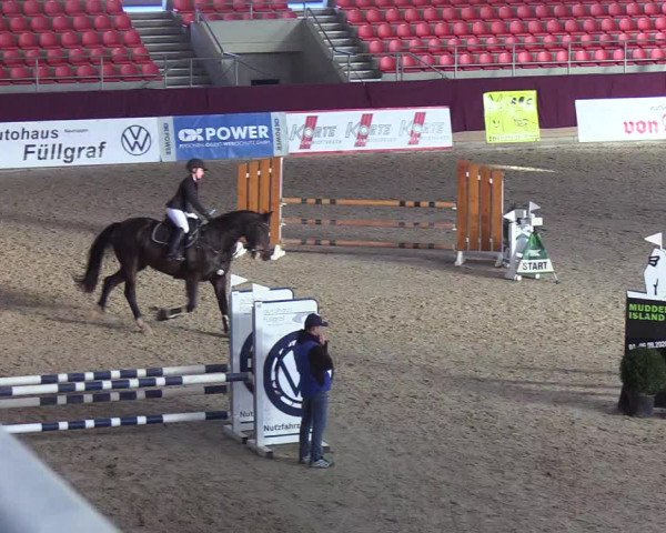 Reitturnier Neustadt/Dosse - Lindenau-Halle 2020