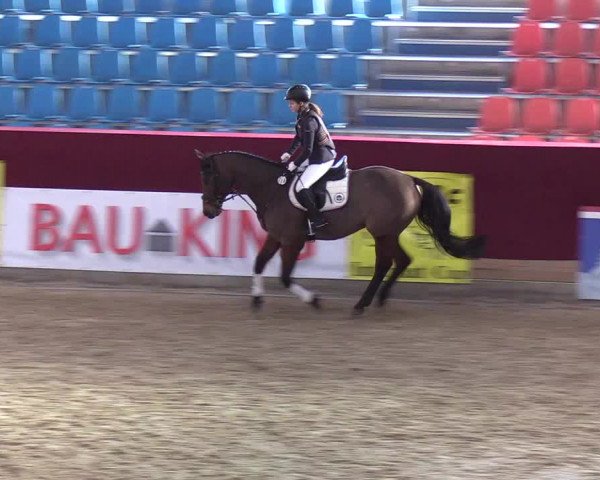 Reitturnier Neustadt/Dosse - Lindenau-Halle 2020