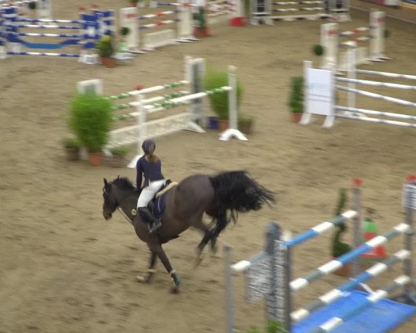 Reitturnier Elmshorn 2020