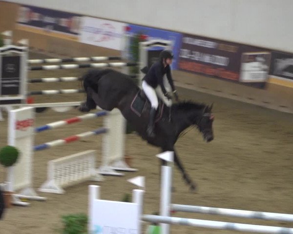 Reitturnier Elmshorn 2020