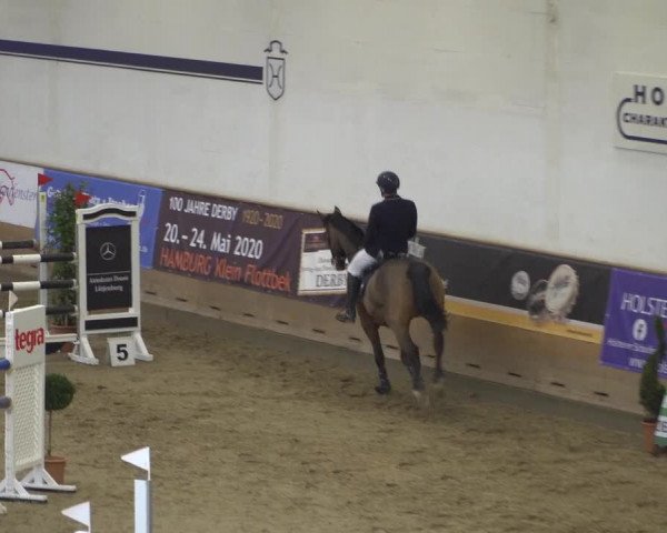 Reitturnier Elmshorn 2020