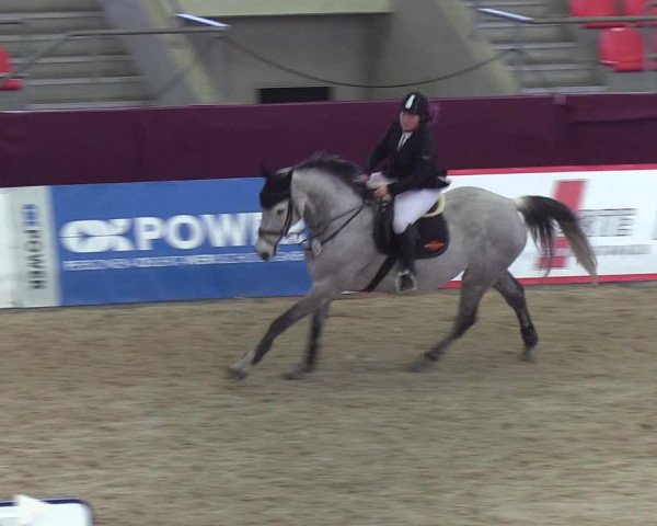 Reitturnier Neustadt/Dosse - Lindenau-Halle 2020