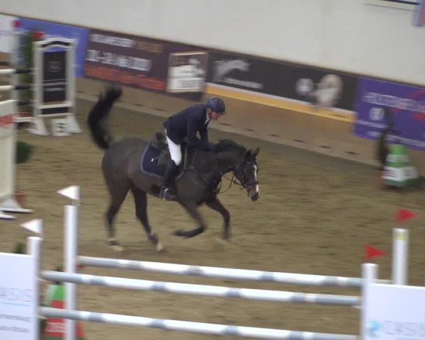 Reitturnier Elmshorn 2020