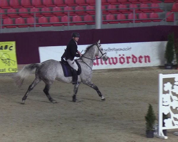 Reitturnier Neustadt/Dosse - Lindenau-Halle 2020