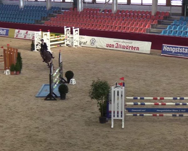 Reitturnier Neustadt/Dosse - Lindenau-Halle 2020