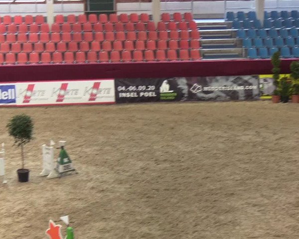 Reitturnier Neustadt/Dosse - Lindenau-Halle 2020