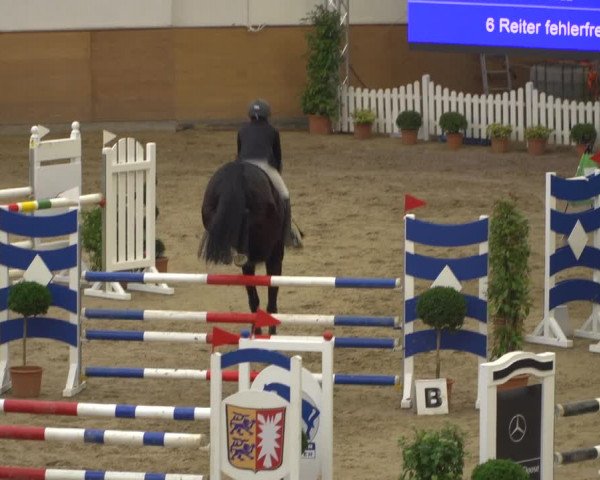 Reitturnier Elmshorn 2020