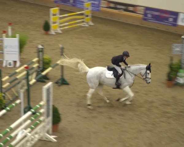 Reitturnier Elmshorn 2020