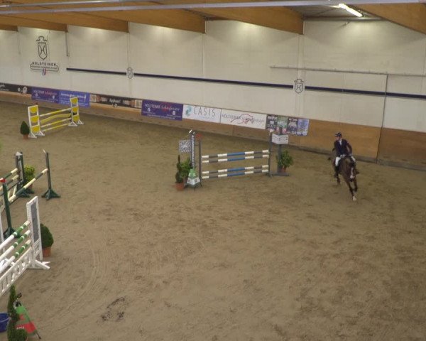 Reitturnier Elmshorn 2020