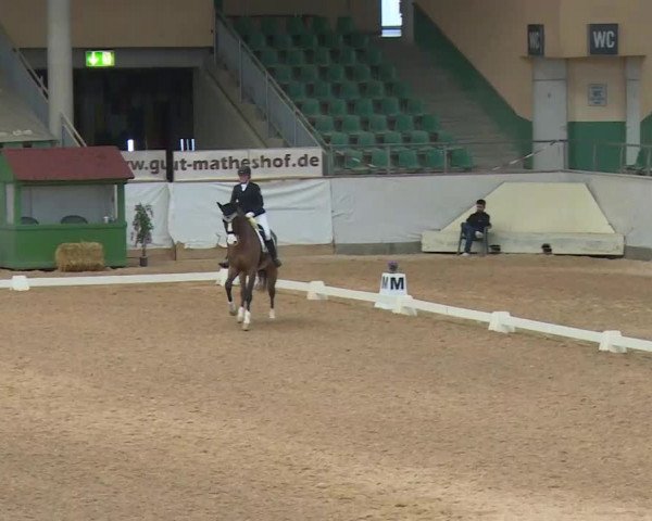 Reitturnier Kreuth/Opf. 2020