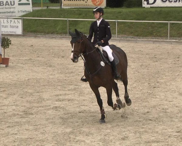Reitturnier Durmersheim-Hardt 2021