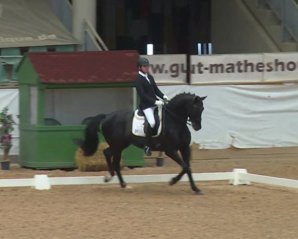 Reitturnier Kreuth/Opf. 2020