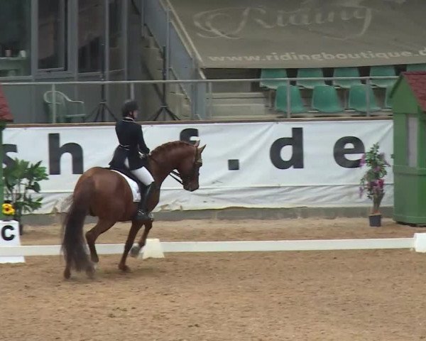 Reitturnier Kreuth/Opf. 2020
