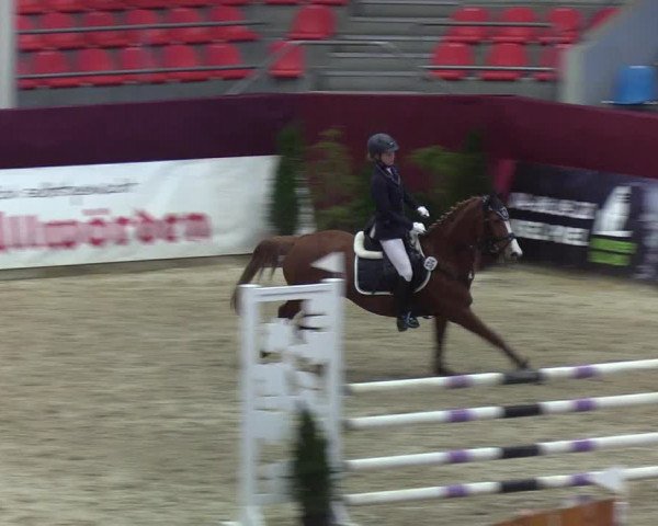 Reitturnier Neustadt/Dosse - Lindenau-Halle 2020