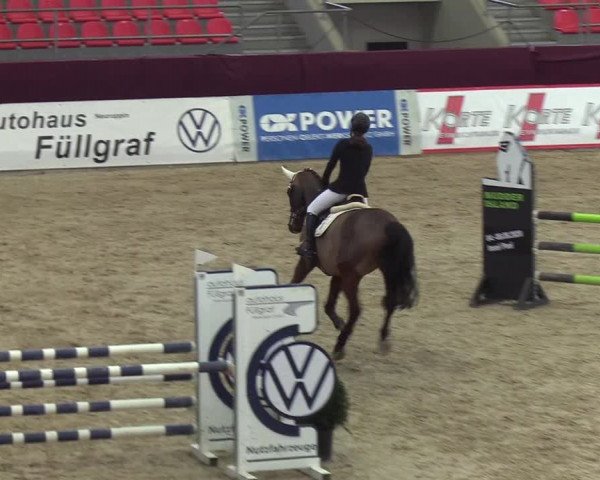 Reitturnier Neustadt/Dosse - Lindenau-Halle 2020