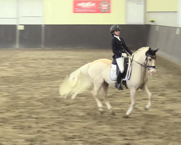 Reitturnier St. Peter Ording 2021