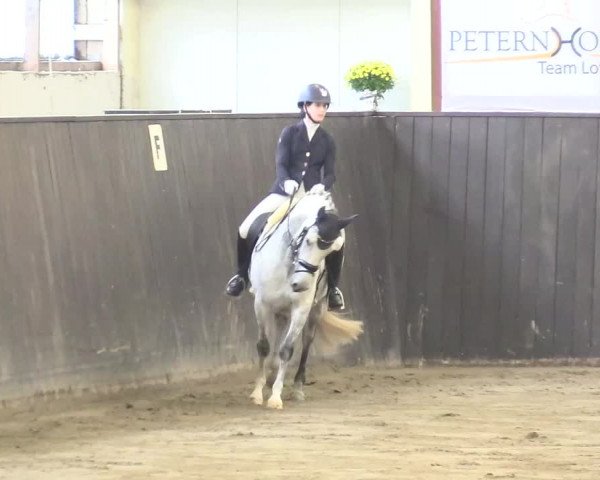 Reitturnier St. Peter Ording 2021