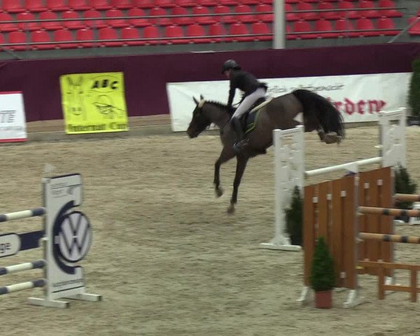 Reitturnier Neustadt/Dosse - Lindenau-Halle 2020