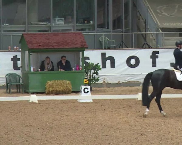 Reitturnier Kreuth/Opf. 2020