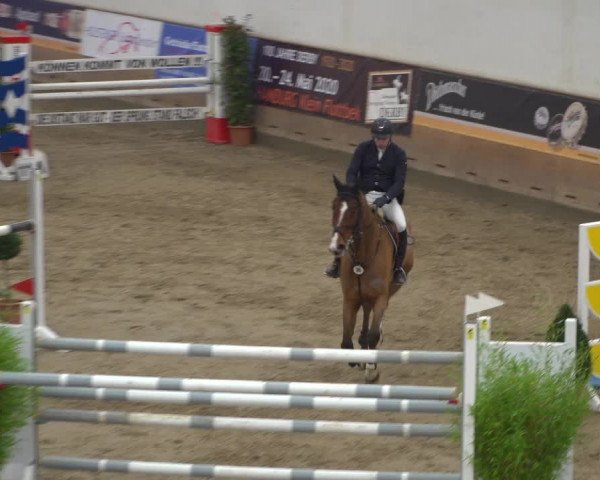 Reitturnier Elmshorn 2020