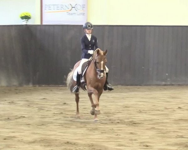 Reitturnier St. Peter Ording 2021