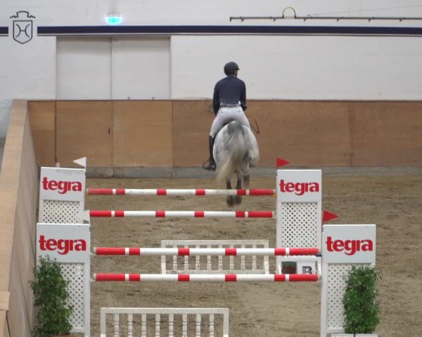 Reitturnier Elmshorn 2020