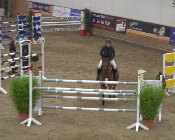 Reitturnier Elmshorn 2020